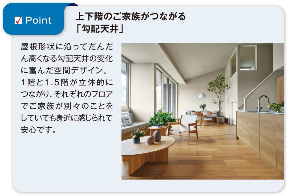 Bコース仕様