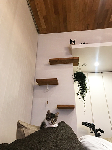 宮崎県 東 様の作品