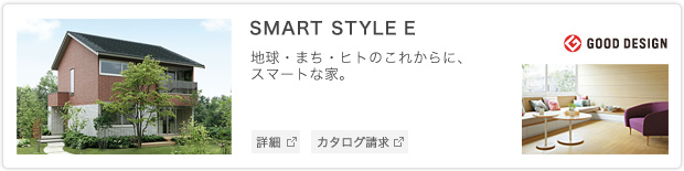 SMART STYLE E